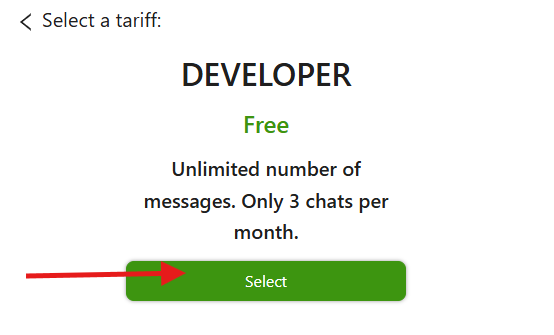 developer